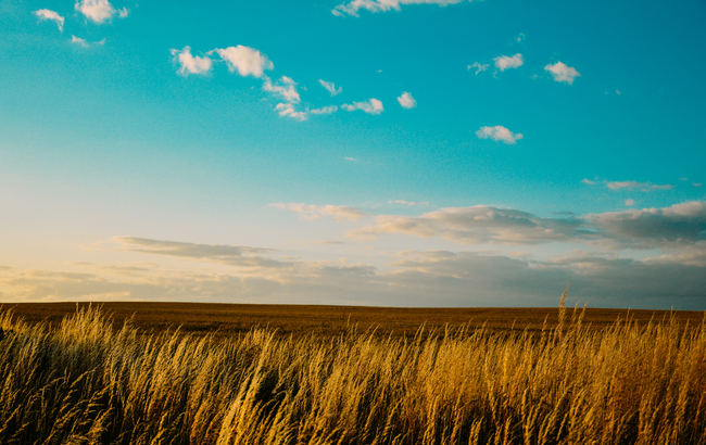 Продажа земли в Украине: в чем суть закона